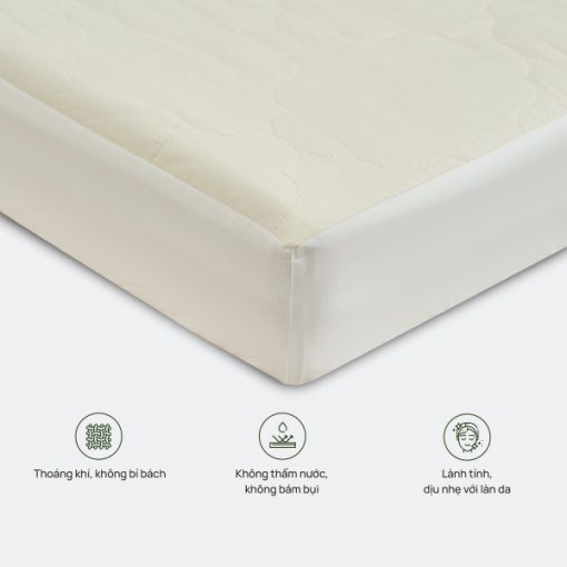 Bảo vệ đệm cotton chống thấm